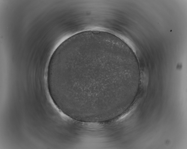 X0000097291007200802291746