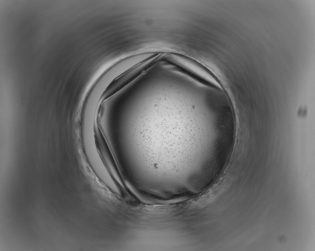 X0000097291008200802291746