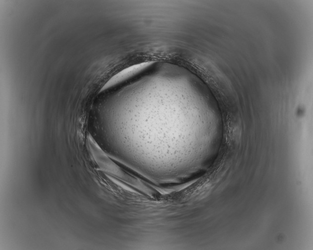 X0000097291010200802291745