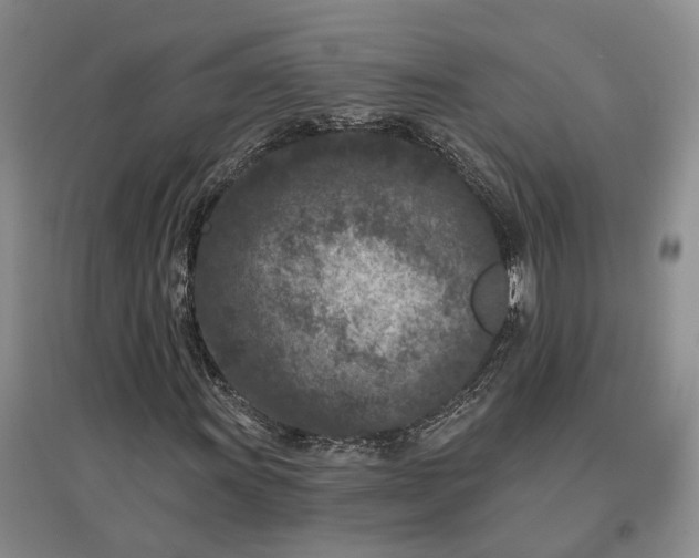 X0000097291011200802291745