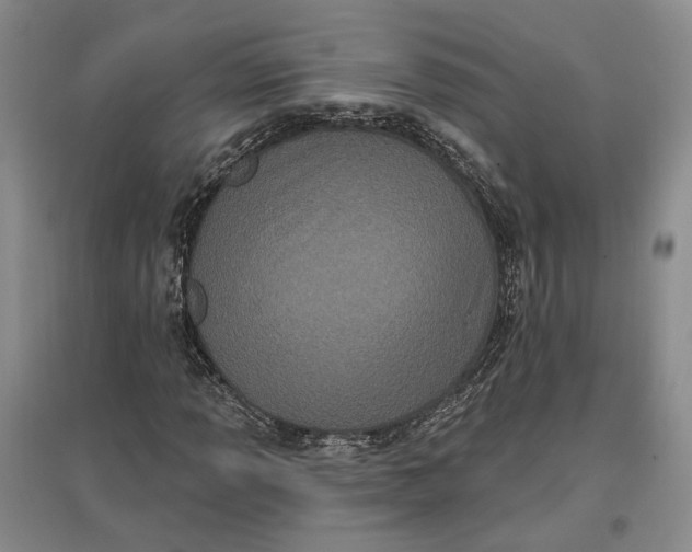 X0000097291013200802291746