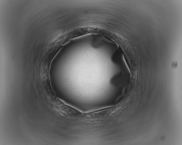 X0000097291014200802291746