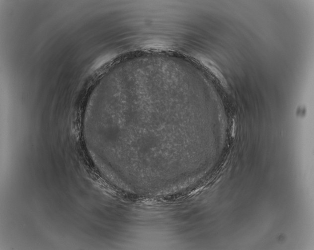 X0000097291015200802291746