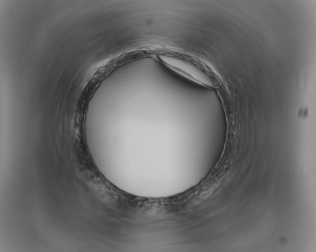 X0000097291016200802291746
