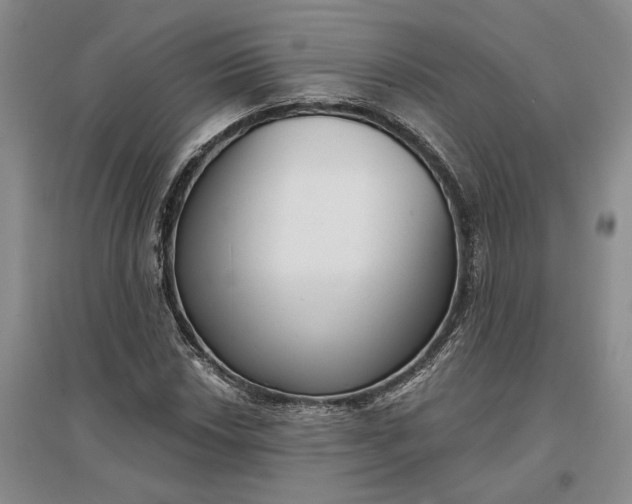 X0000097291018200802291746