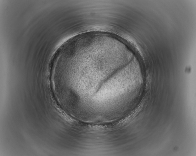 X0000097291019200802291746