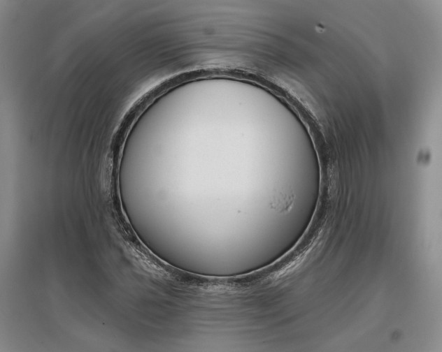 X0000097291021200802291746