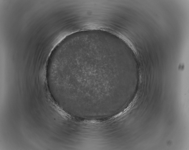 X0000097291023200802291746