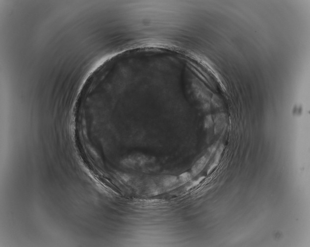 X0000097291024200802291746
