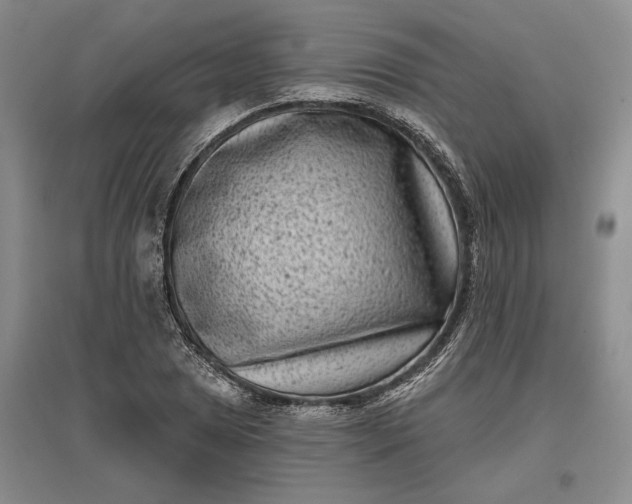 X0000097291025200802291746
