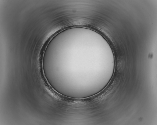 X0000097291026200802291746