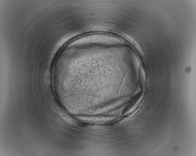 X0000097291027200802291746