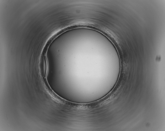 X0000097291029200802291746