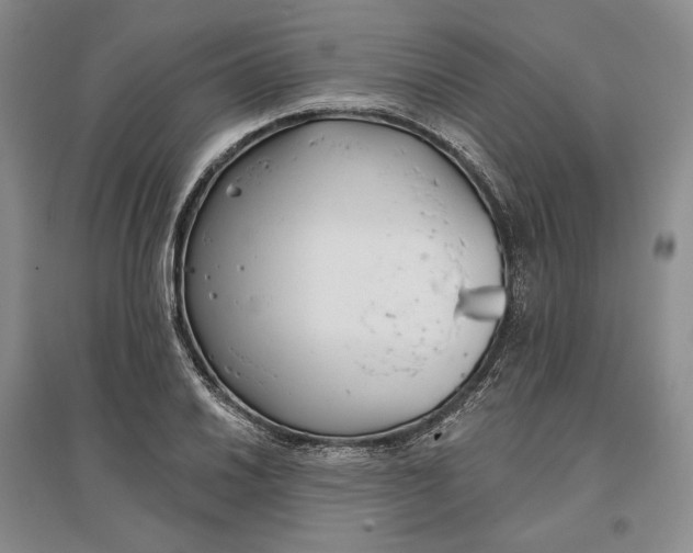 X0000097291030200802291746