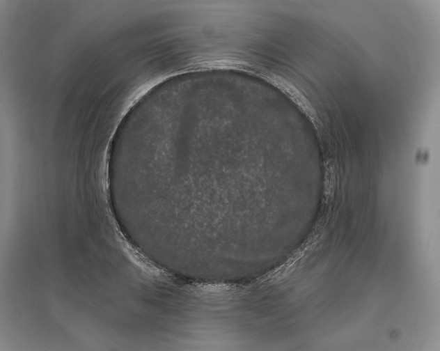 X0000097291031200802291746