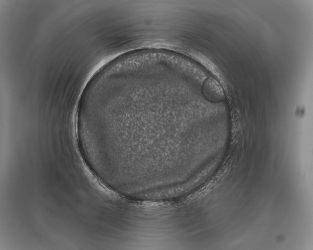 X0000097291032200802291746