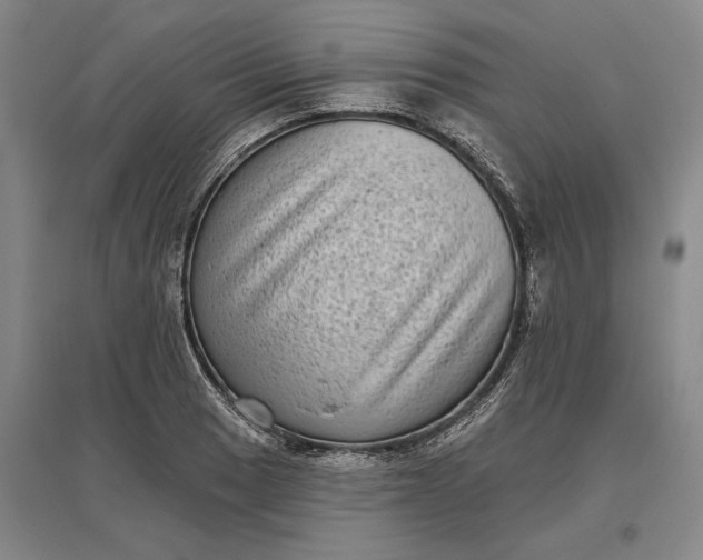 X0000097291033200802291746