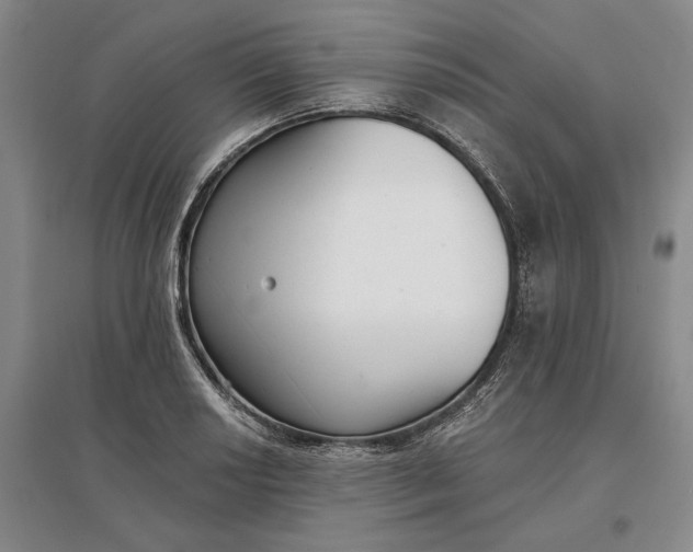 X0000097291034200802291746