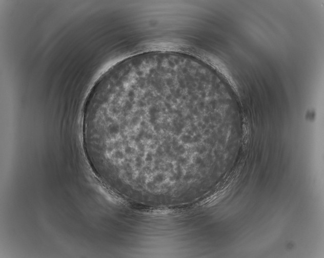 X0000097291035200802291746