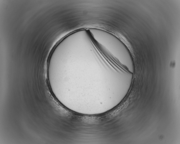 X0000097291036200802291746