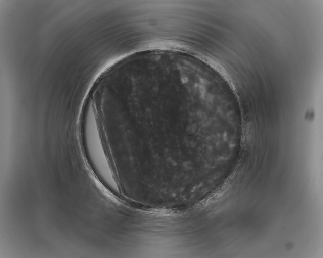 X0000097291037200802291746