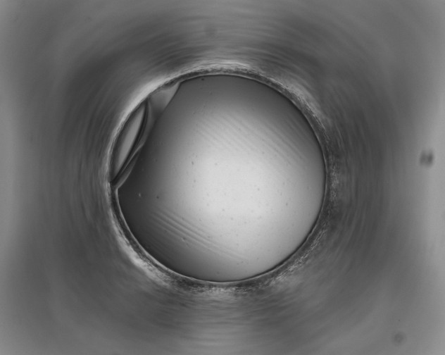 X0000097291038200802291746