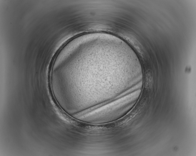 X0000097291039200802291746