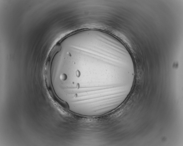 X0000097291040200802291746