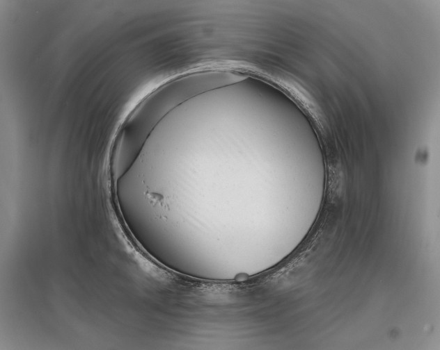 X0000097291046200802291746