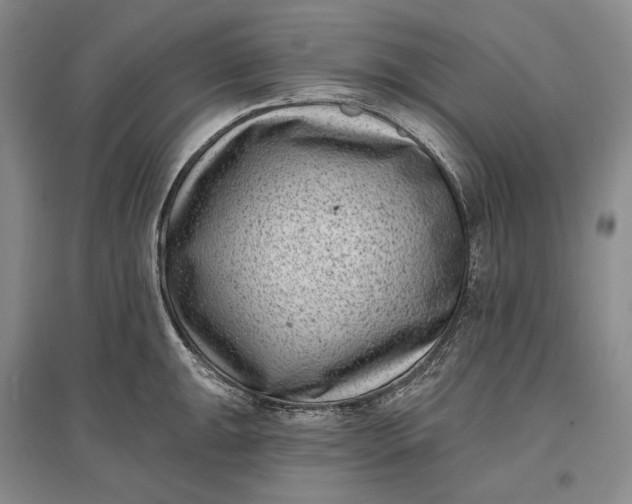 X0000097291047200802291746