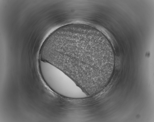 X0000097291048200802291746