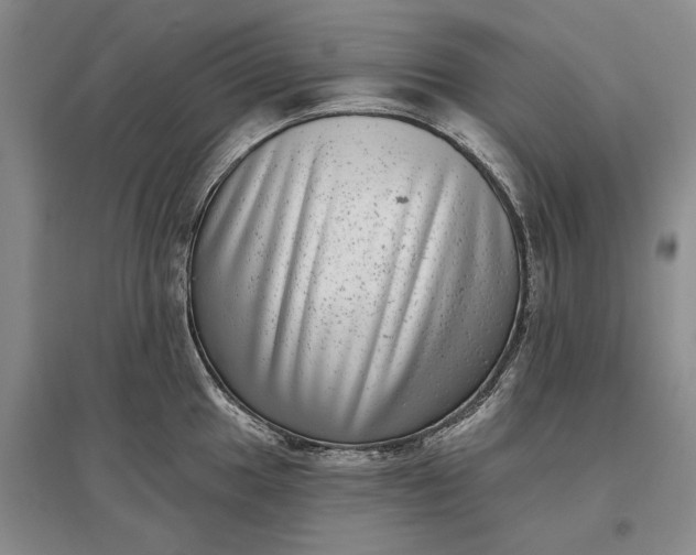 X0000097291049200802291746