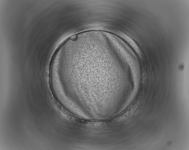 X0000097291051200802291746