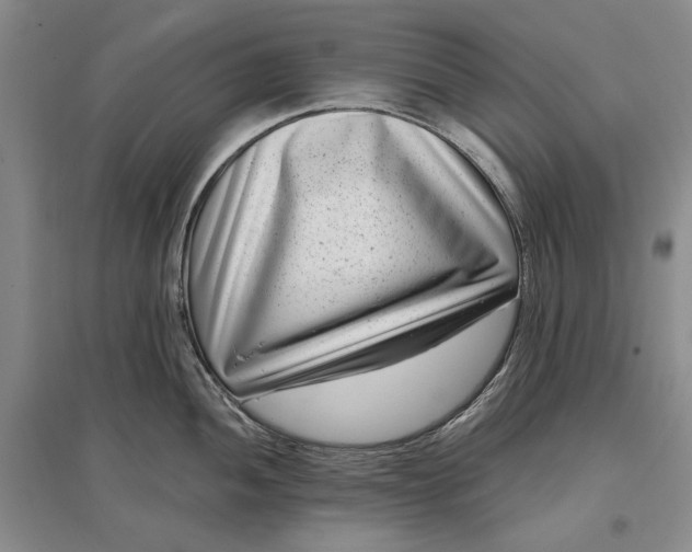 X0000097291052200802291746