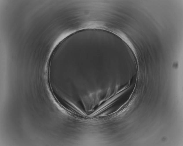 X0000097291053200802291746