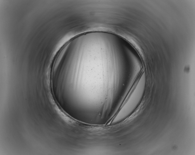 X0000097291054200802291746