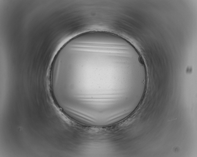 X0000097291056200802291746