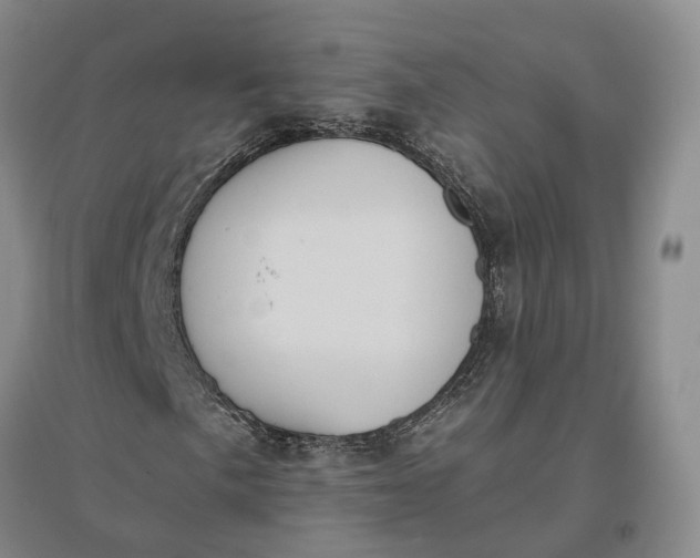 X0000097291057200802291745