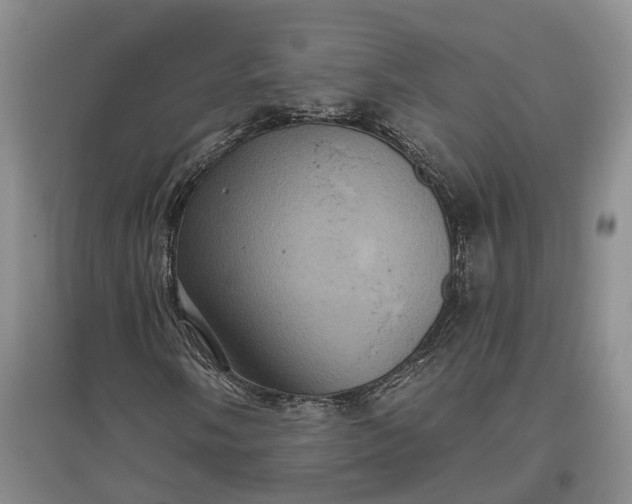 X0000097291058200802291745