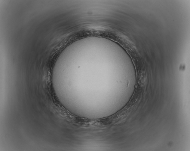 X0000097291061200802291745