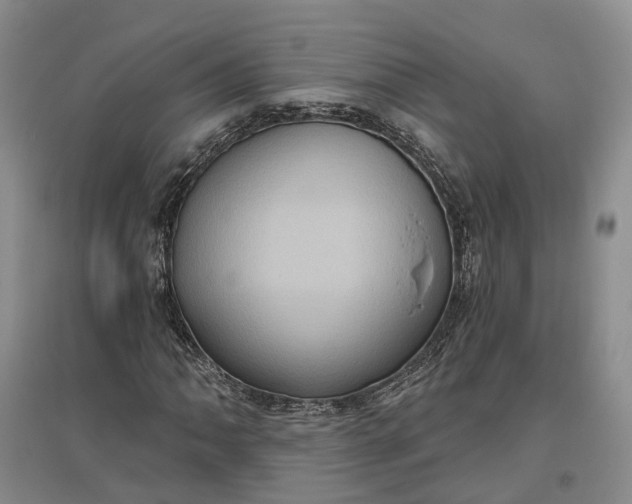 X0000097291062200802291745