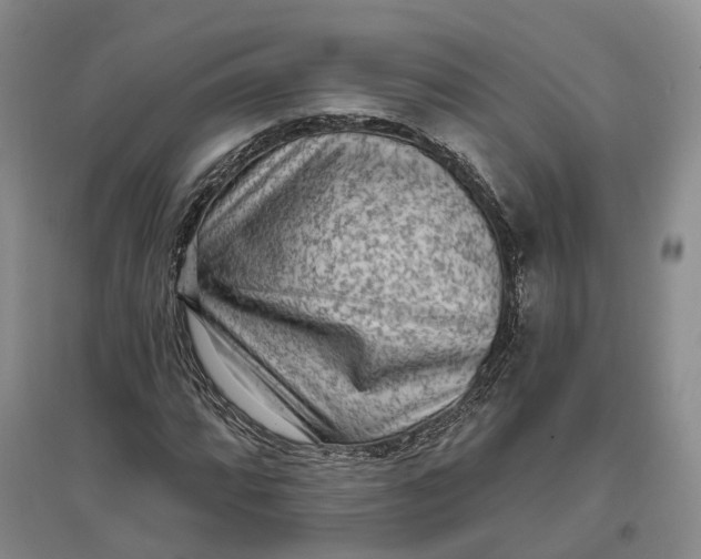 X0000097291064200802291745