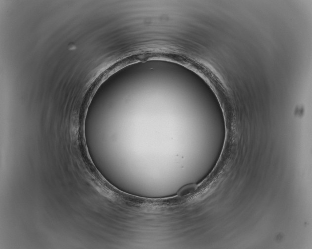 X0000097291065200802291745