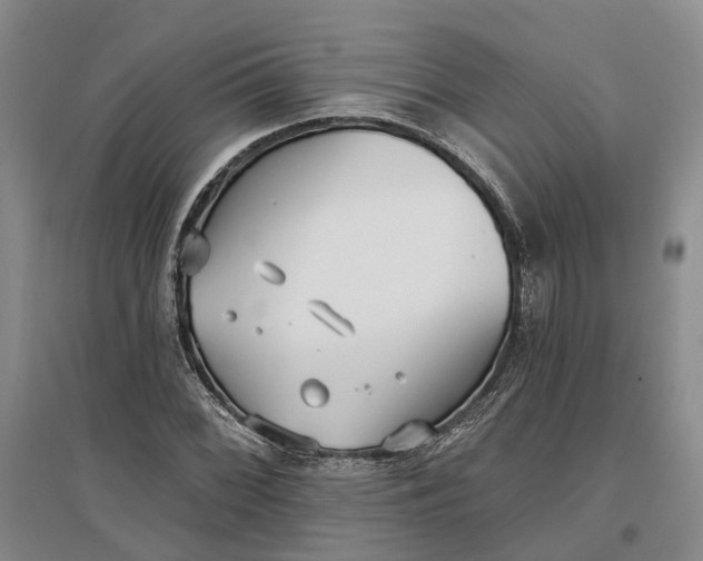 X0000097291068200802291745