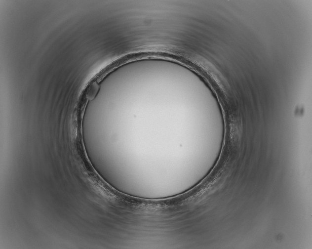 X0000097291069200802291745