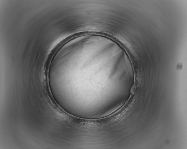 X0000097291070200802291745