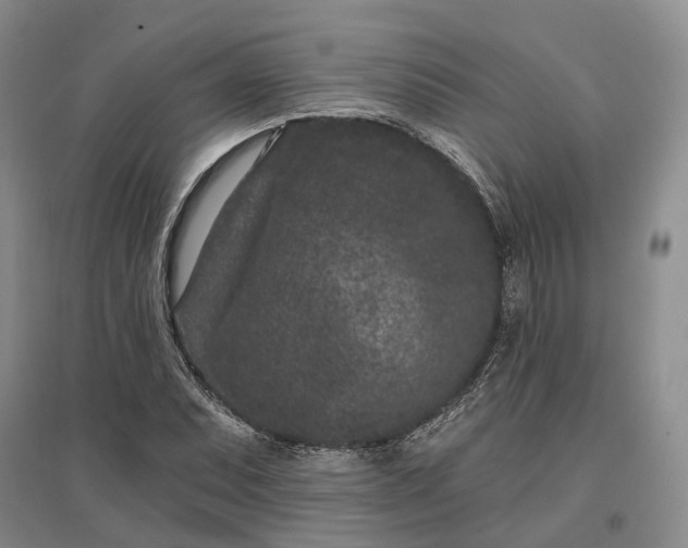 X0000097291071200802291745