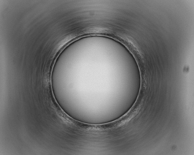 X0000097291073200802291745