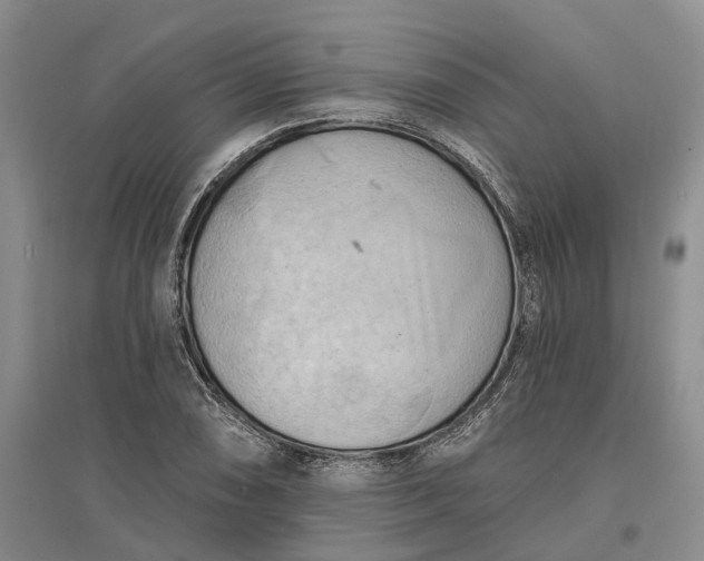 X0000097291074200802291745