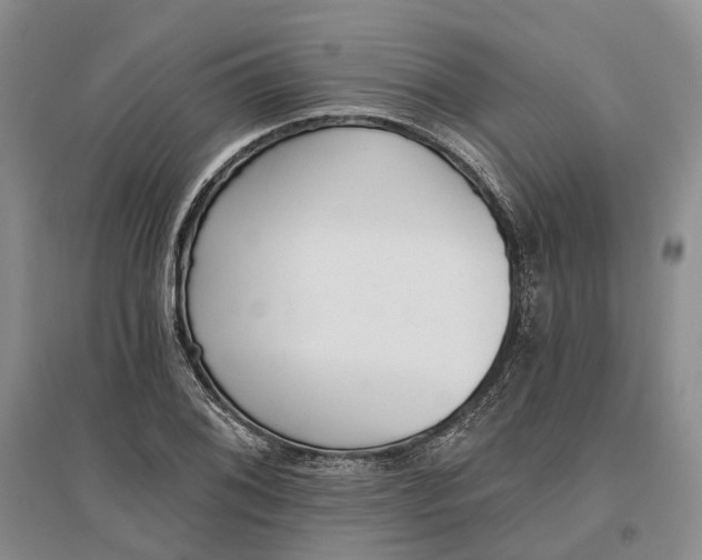 X0000097291076200802291745